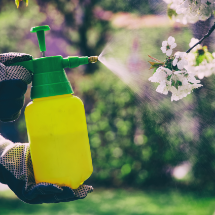 Pesticide