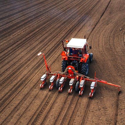 Semințe pentru Agricultură