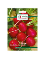 Seminte Ridichi de Luna RIESENBUTTER, GRADINA FERMECATA - 3 GR