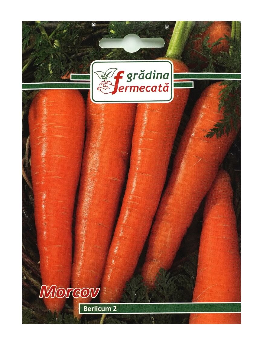 Seminte Morcov BERLICUM 2, GRADINA MERMECATA - 3 GR