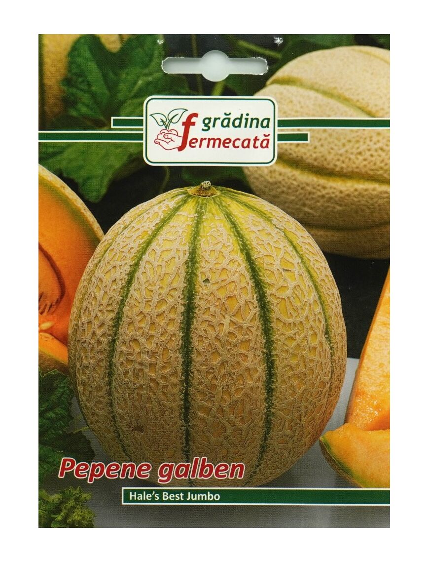 Seminte Pepene Galben HALES BEST JUMBO, GRADINA FERMECATA - 1 GR