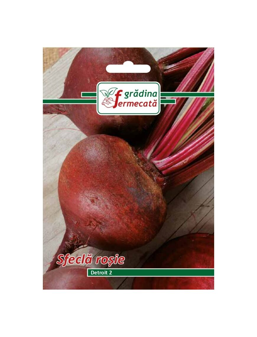 Seminte Sfecla Rosie DETROIT 2, GRADINA FERMECATA - 3 GR