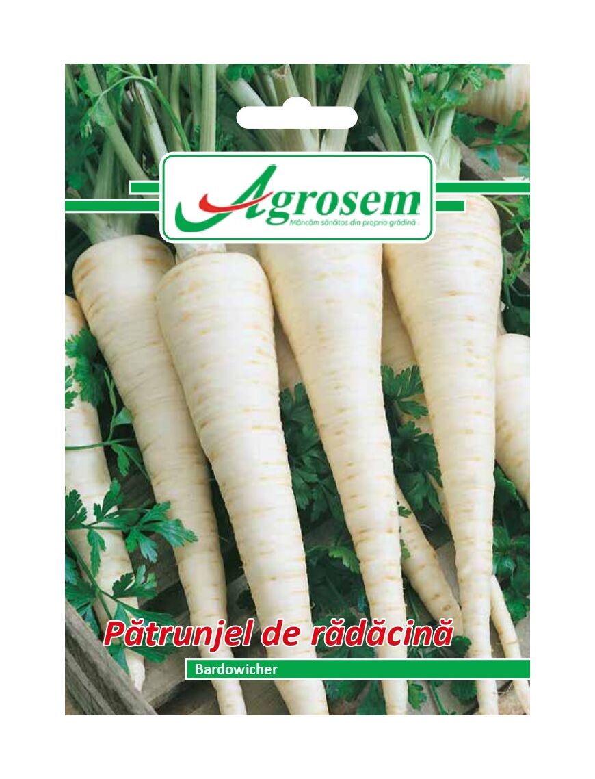 Seminte Patrunjel Radacina BARDOWICHER, AGROSEM - 5 GR