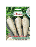 Seminte Patrunjel Radacina BERLINER , GRADINA FERMECATA - 3 GR