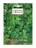 Seminte Patrunjel Frunze GIGANTE DE ITALIA, GRADINA FERMECATA - 3 GR
