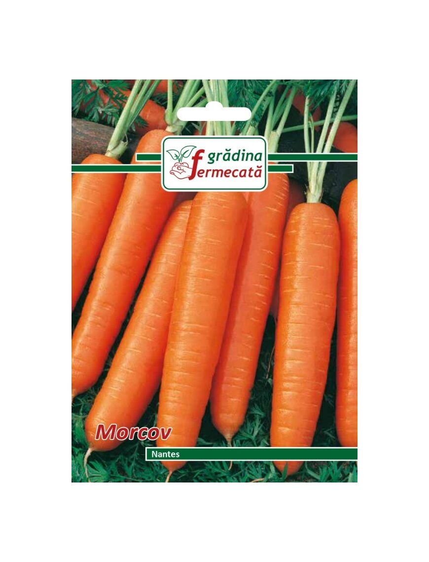 Seminte Morcov NANTES, GRADINA FERMECATA - 3 GR