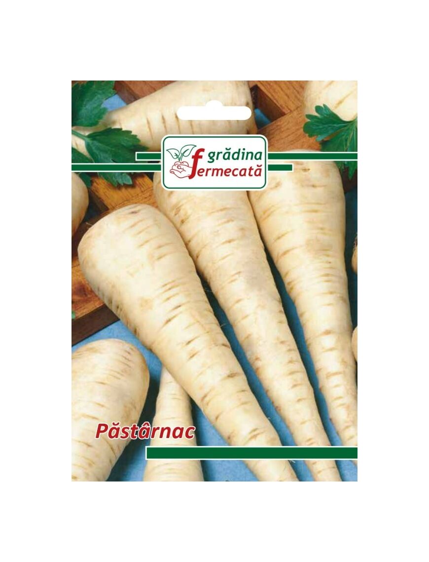 Seminte PASTARNAC, GRADINA FERMECATA - 4 GR