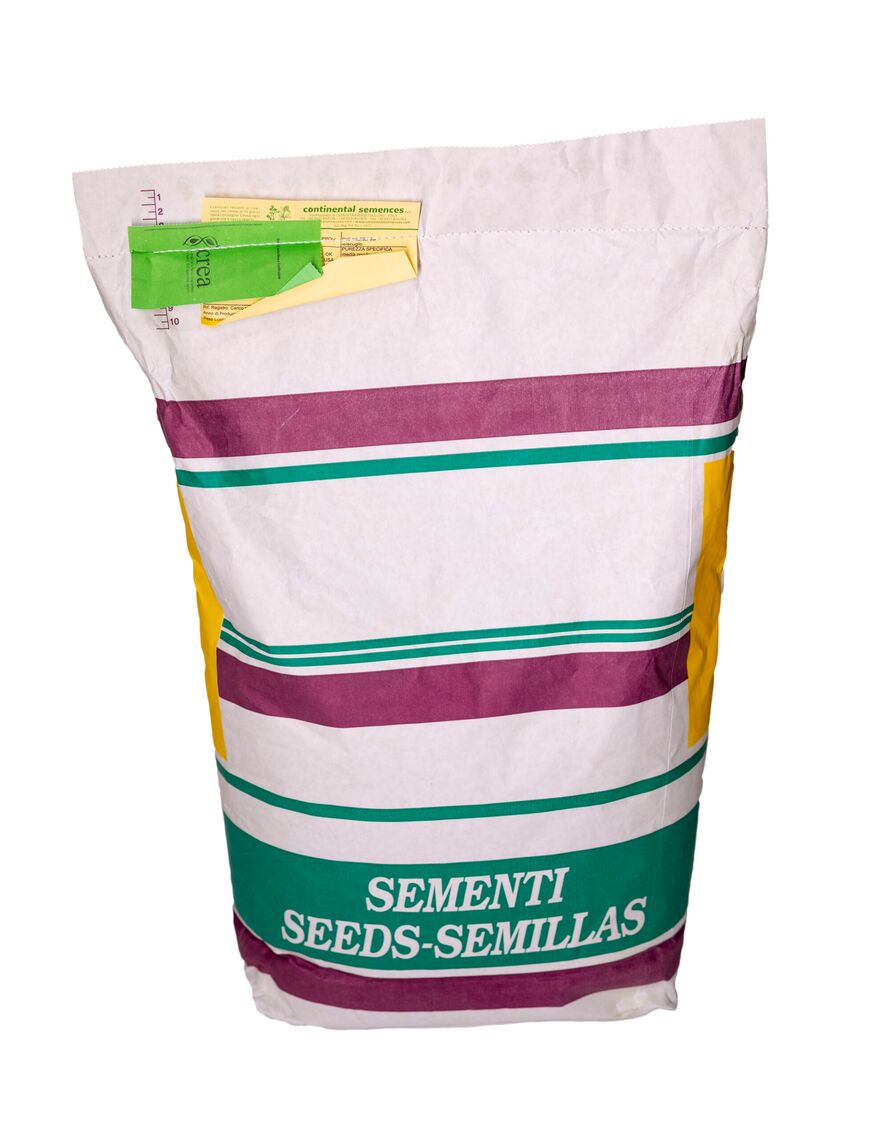 Seminte IARBA PENTRU PASUNE - Sac 10 KG, Amestec rezistent, pășuni dense, furaj natural și regenerare rapidă
