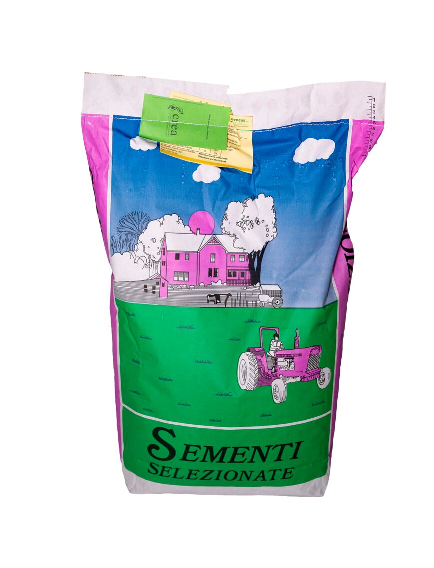 Seminte IARBA DE COASA - Sac 10 KG, Randament mare, fân de calitate