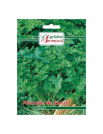 Seminte Patrunjel de Frunze COMUNE 2, GRADINA FERMECATA - 3 GR