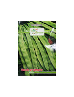 Seminte Fasole Urcatoare MARCONI, AGROSEM - 10 GR, Păstăi Lungi si Verzi