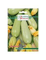 Seminte Dovlecel WHITE OF TRIESTE , GRADINA FERMECATA - 2 GR