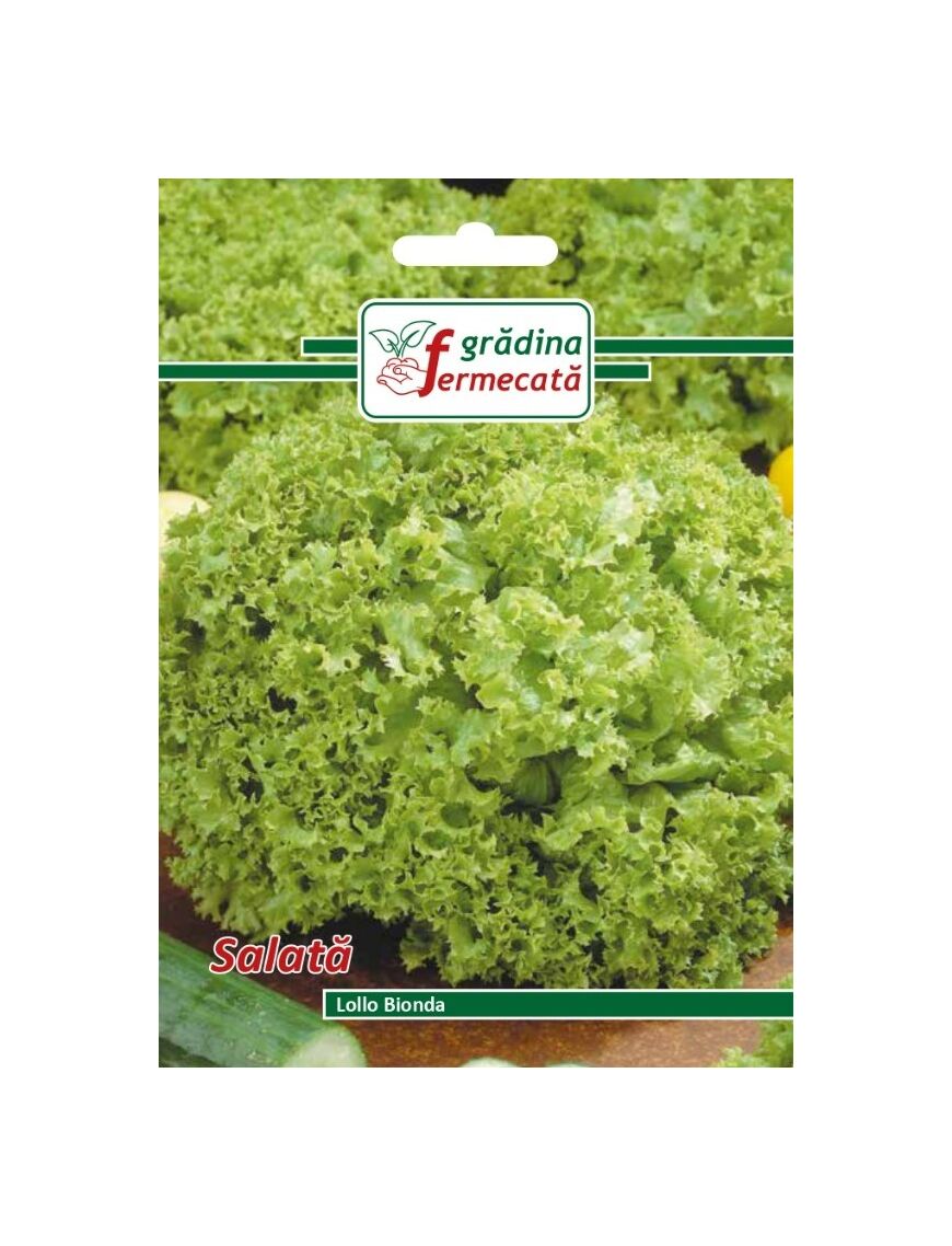 Seminte Salata LOLLO BIONDA, GRADINA FERMECATA - 1.5 GR
