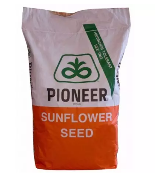 Seminte Floarea Soarelui P64LE162, Pioneer, EXPRESS – Sac 150.000 seminte