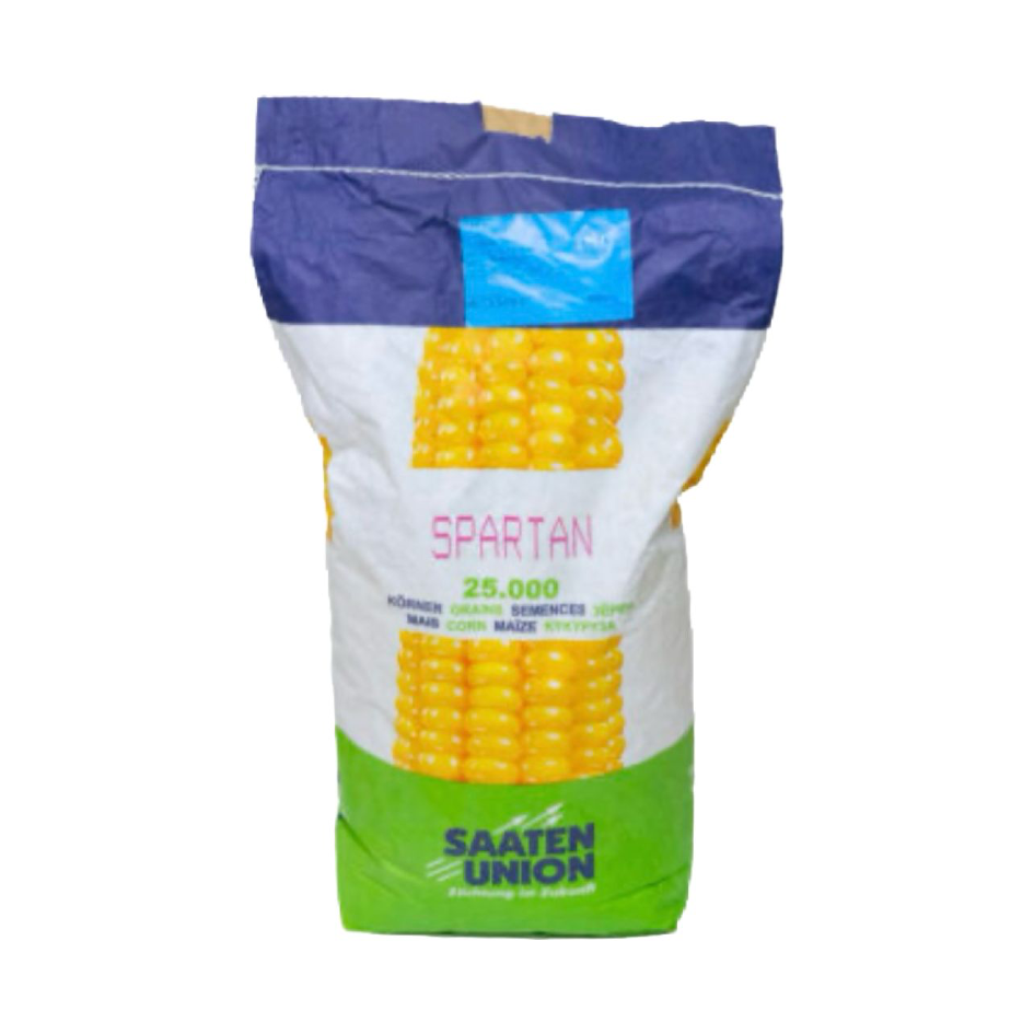 SPARTAN Saaten Union, FAO 320, Samanta porumb (sac 25.000 boabe)