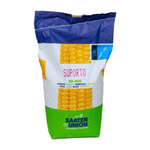 SUPORTO Saaten Union, FAO 290, Samanta porumb (sac 50.000 boabe)