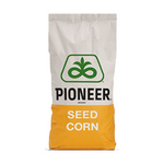 P8567, FAO 275, Samanta porumb Pioneer (sac 80.000 boabe)