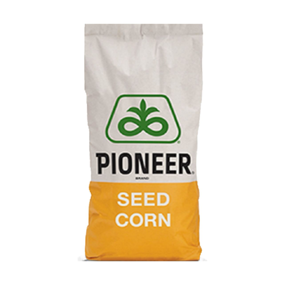 P9757, FAO 370, Samanta porumb Pioneer (sac 80.000 boabe)