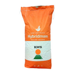 KWS KASHMIR, FAO 370, Plus4Grain, Samanta porumb (sac 50.000 boabe)
