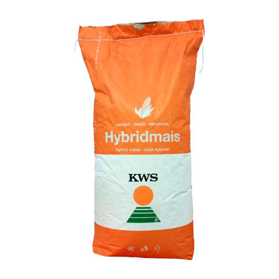 KWS KASHMIR, FAO 370, Plus4Grain, Samanta porumb (sac 50.000 boabe)