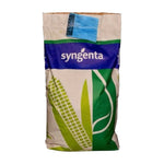 SY CARIOCA Syngenta, FAO 450 – 490, Samanta porumb, Hibrid Tardiv (sac 50.000 boabe)
