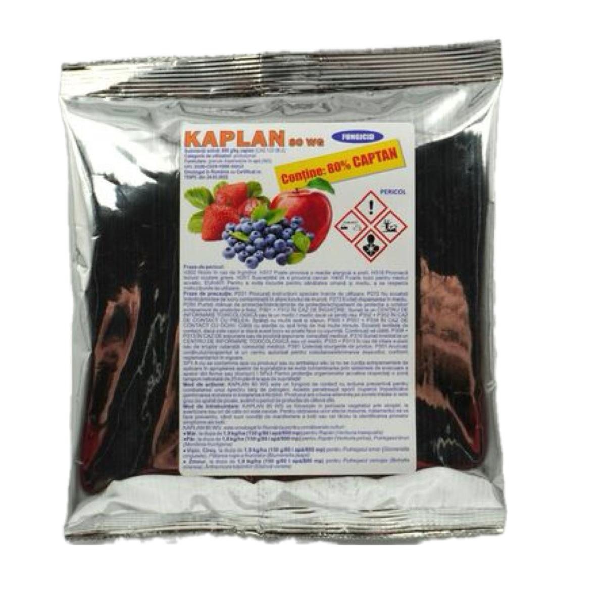 Fungicid KAPLAN 80 WG – 1 KG, Pestila, Contact, Captan