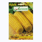 Seminte Porumb Dulce TITINA F1