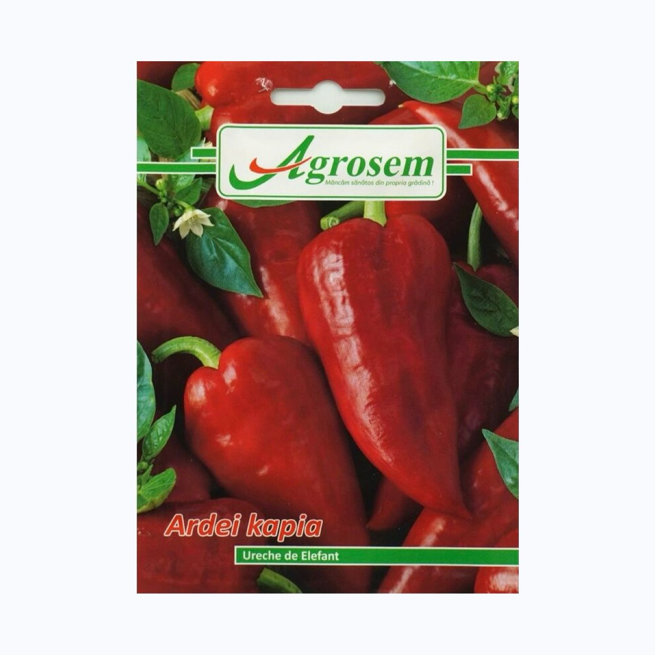 Seminte Ardei URECHE DE ELEFANT, AGROSEM - 0.7 GR