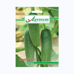 Seminte Castraveti DELIKATESS, AGROSEM – 3 GR