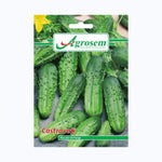 Seminte Castraveti PICCOLO DI PARIGI, AGROSEM – 3 GR