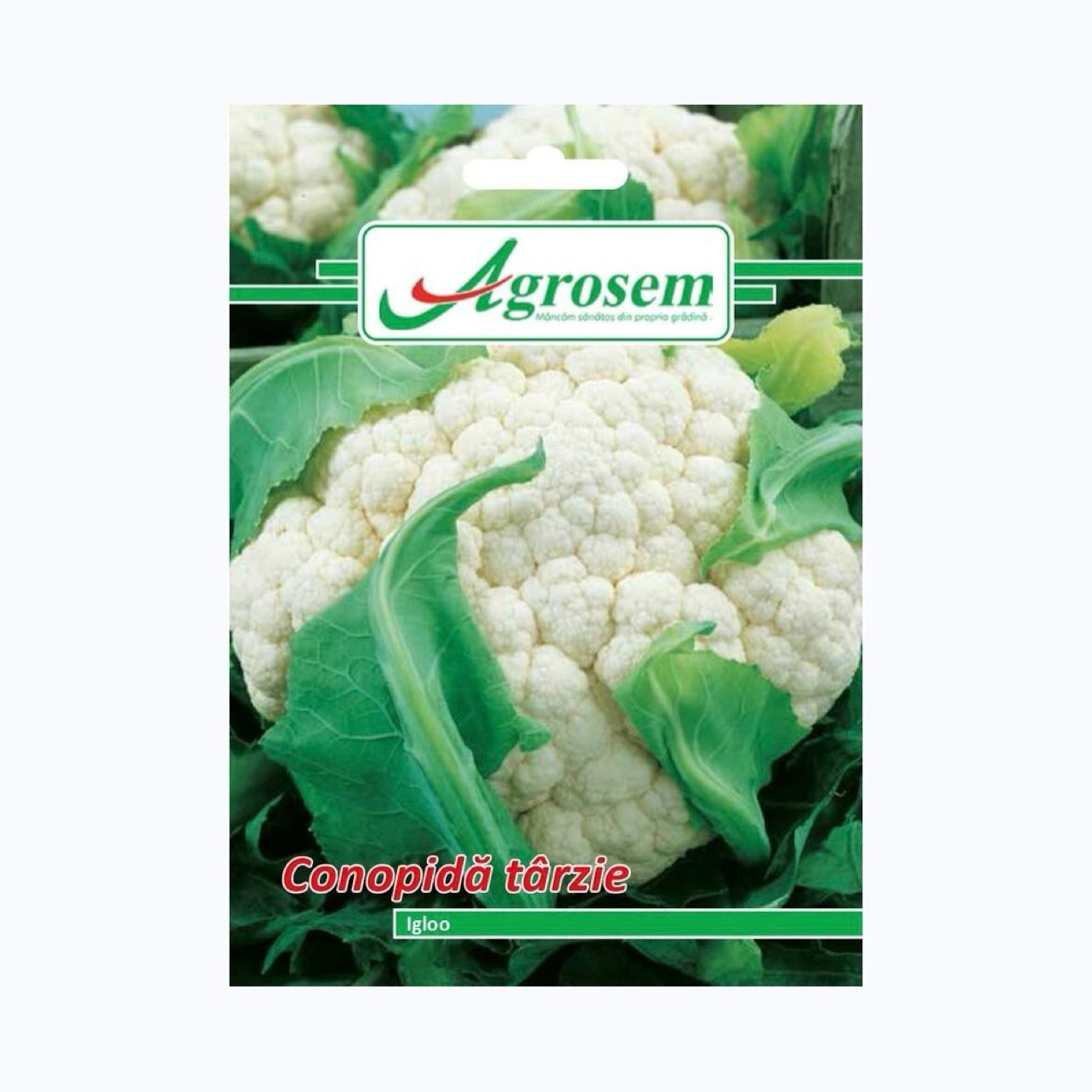 Seminte Conopida IGLOO, AGROSEM – 1 GR