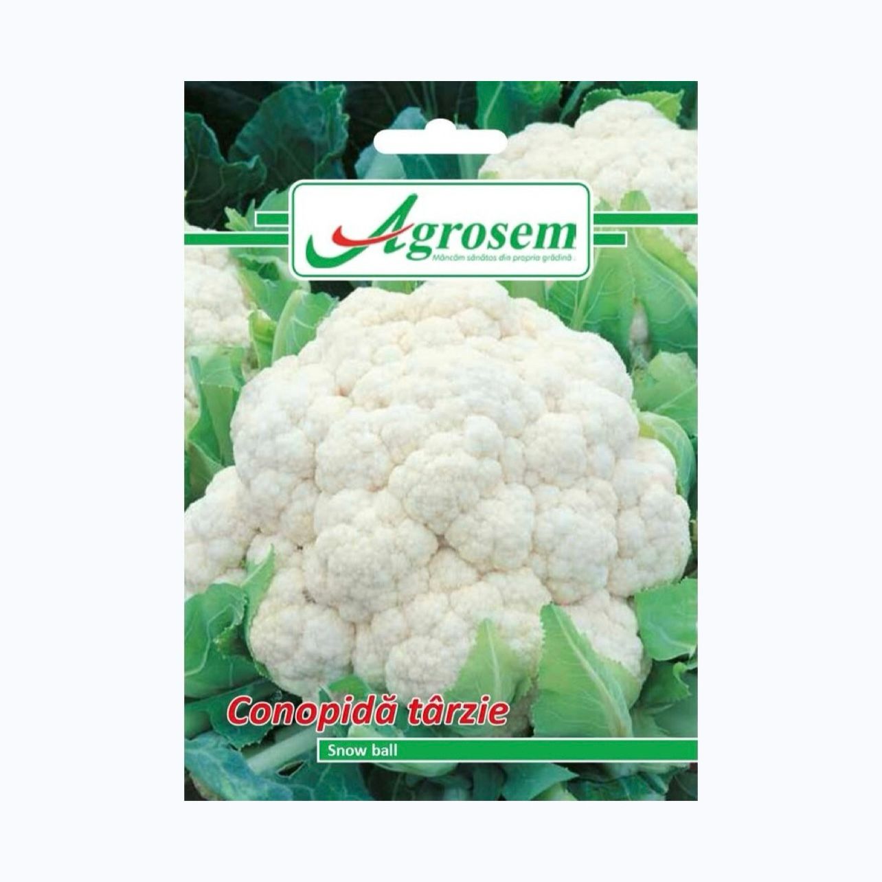 Seminte Conopida SNOW BALL, AGROSEM - 1 GR