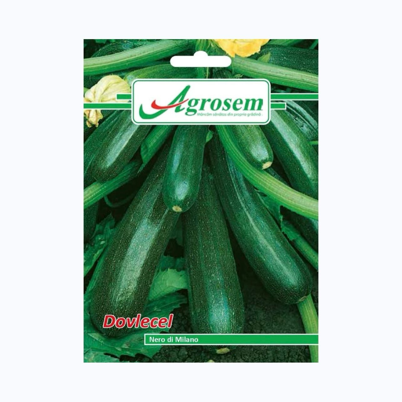 Seminte Dovlecel NERO DI MILANO, AGROSEM – 4 GR