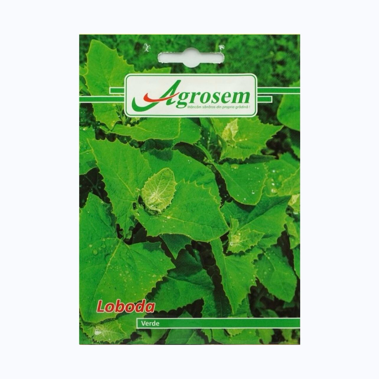 Seminte LOBODA VERDE, AGROSEM – 0.8 GR