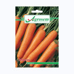Seminte Morcov BERLICUM 2, AGROSEM – 5 GR