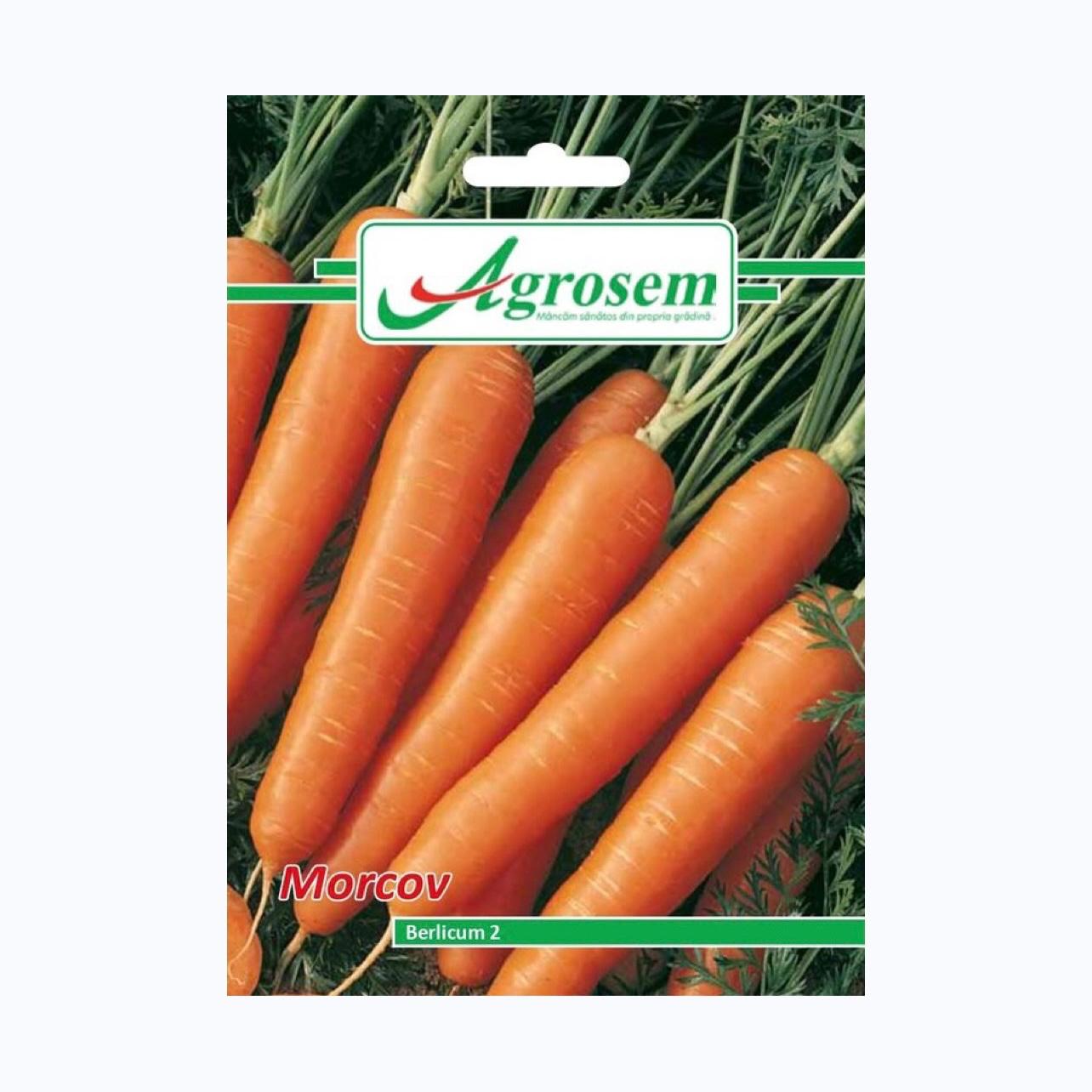 Seminte Morcov BERLICUM 2, AGROSEM – 5 GR