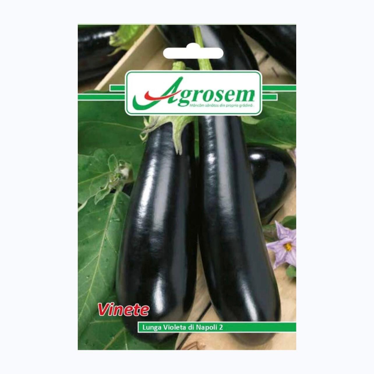 Seminte Vinete LUNGA VIOLETA DI NAPOLI, AGROSEM - 2 GR