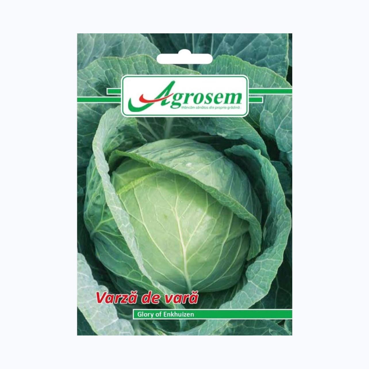 Seminte Varza de Vara GLORY OF ENKHUIZEN, AGROSEM - 5 GR