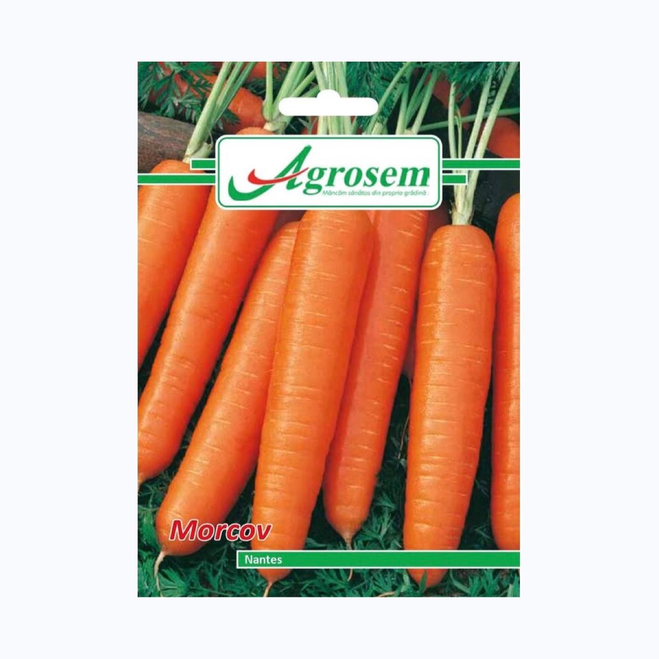 Seminte Morcov NANTES, AGROSEM - 5 GR