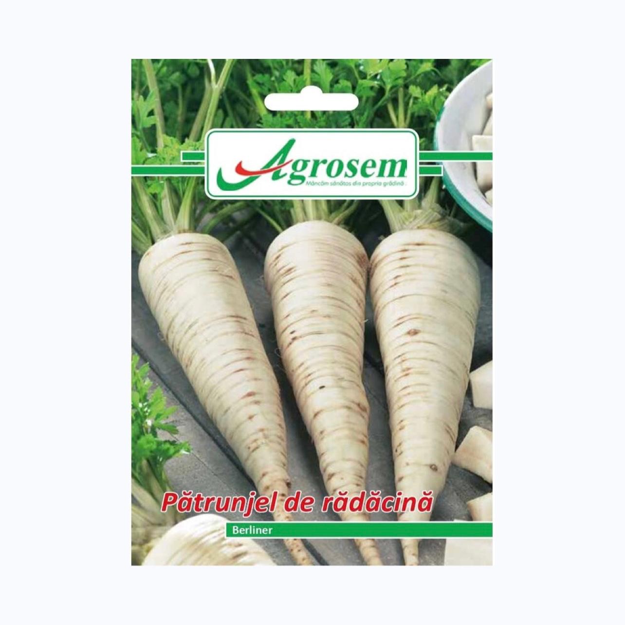 Seminte Patrunjel de radacina BERLINER, AGROSEM - 5 GR