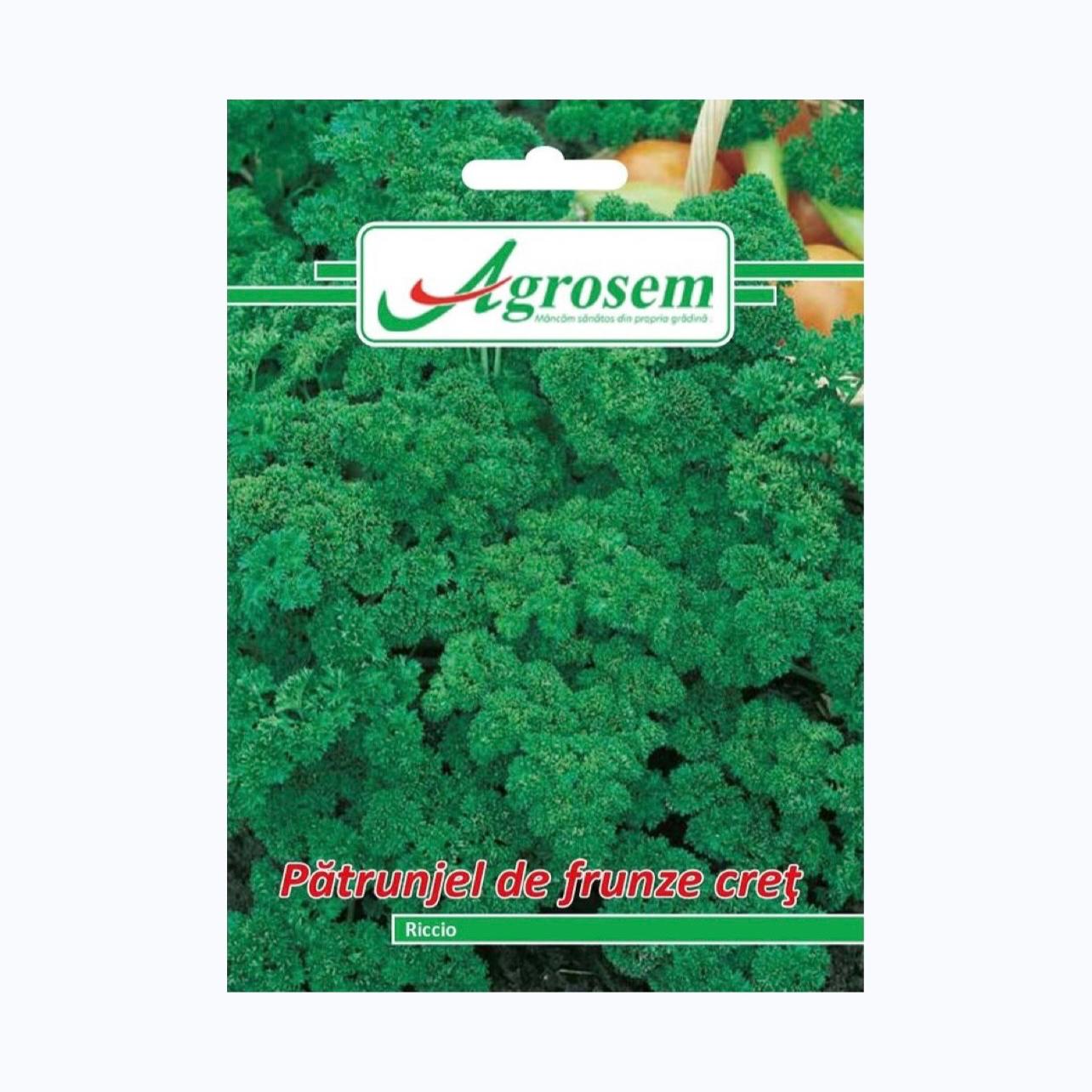 Seminte Patrunjel Frunze Cret RICCIO, AGROSEM – 5 GR