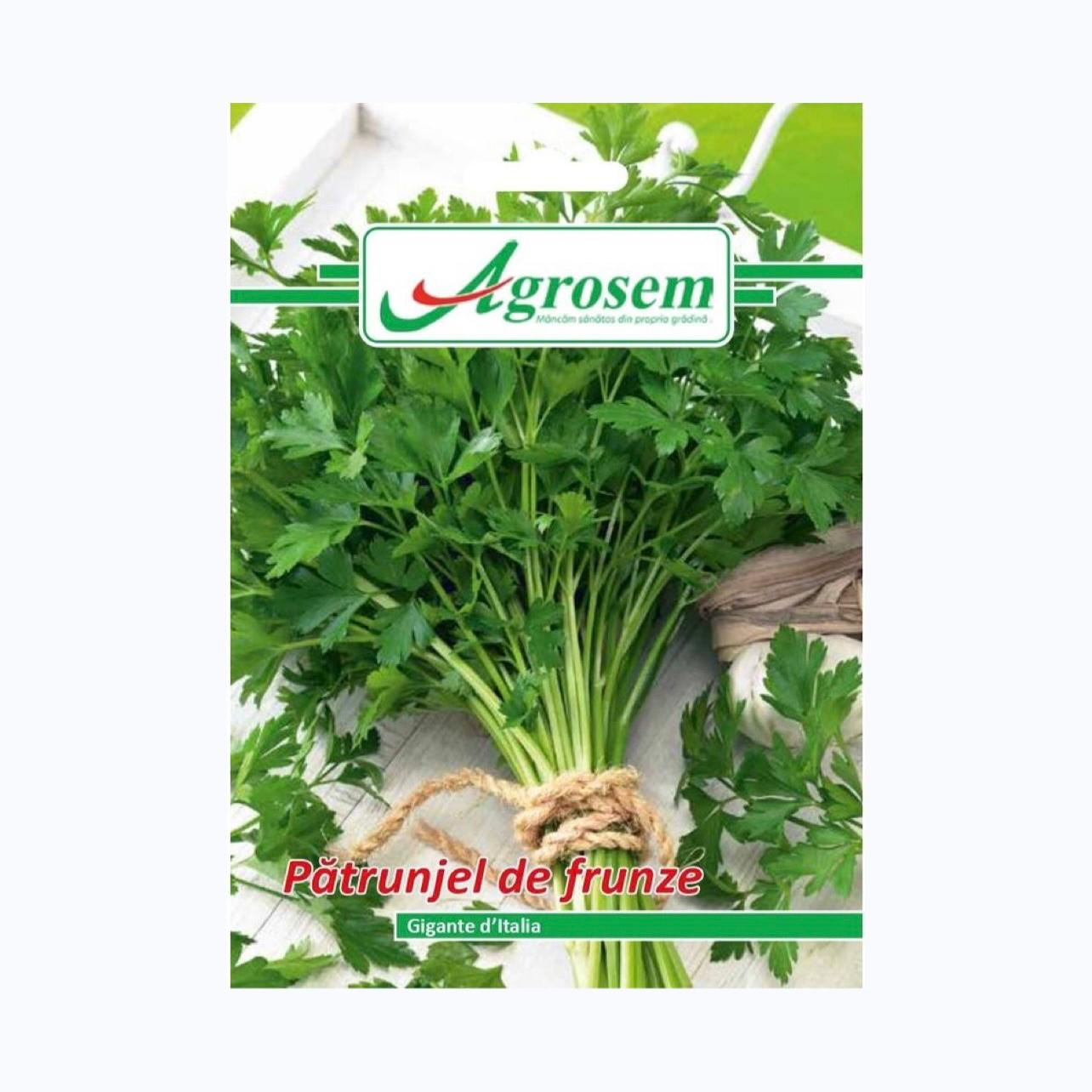 Seminte Patrunjel Frunze GIGANTE DE ITALIA, AGROSEM – 5 GR