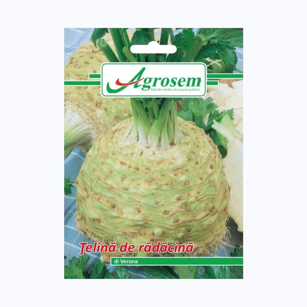 Seminte Telina de Radacina DI VERONA, AGROSEM - 2 GR