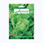 Seminte Salata WHITE BOSTON, AGROSEM - 3 GR