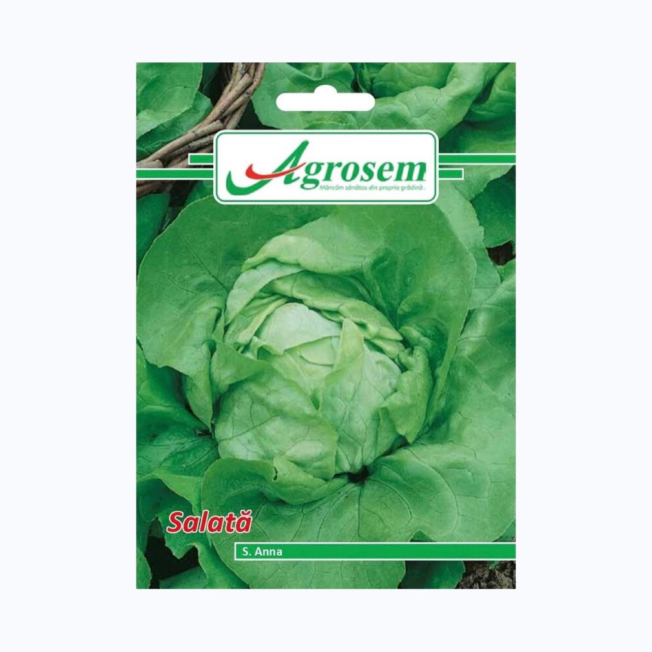 Seminte Salata S. ANNA, AGROSEM - 3 GR