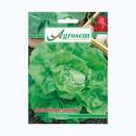 Seminte Salata de Iarna VERDE DINVERNO, AGROSEM - 3 GR