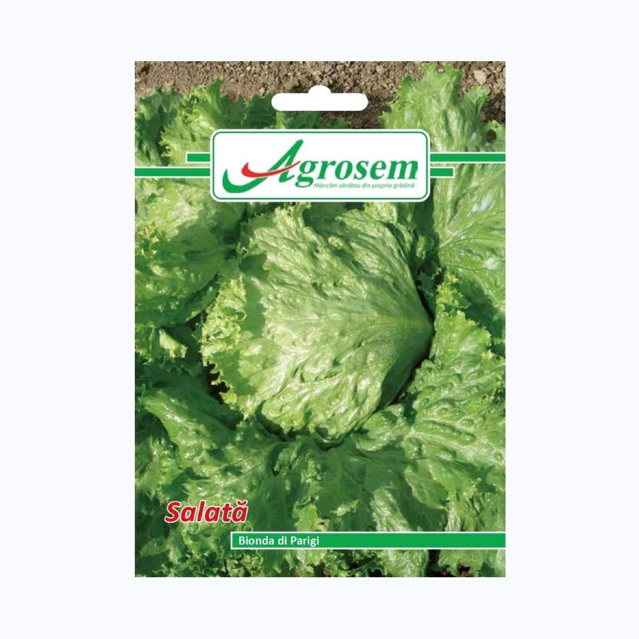 Seminte Salata BIONDA DI PARIGI, AGROSEM - 3 GR