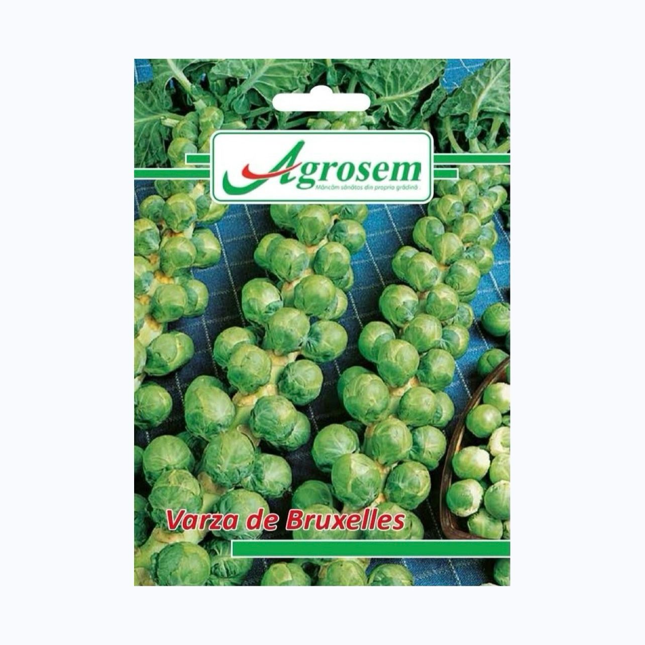 Plic Seminte Varza de Bruxelles 5 gr, Agrosem