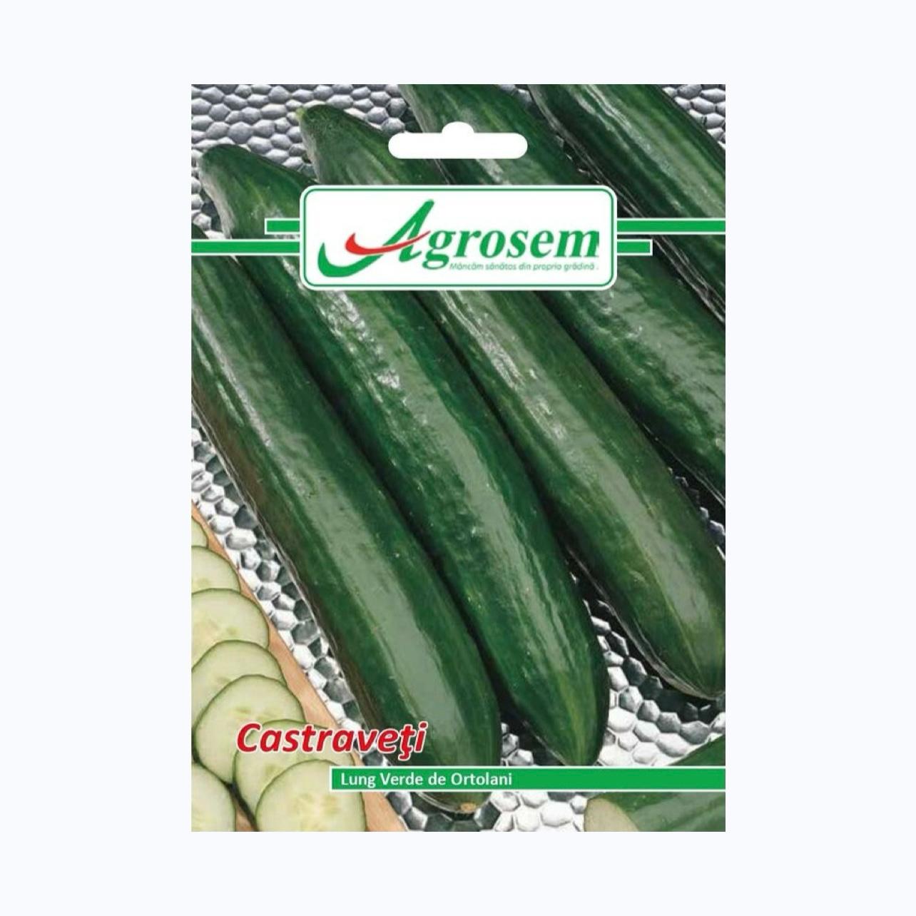 Seminte Castraveti LUNGO VERDE DEGLI ORTOLANI, AGROSEM – 3 GR