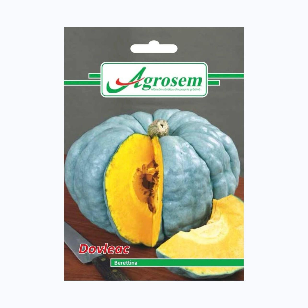 Seminte Dovleac BERETTINA, AGROSEM - 2 GR